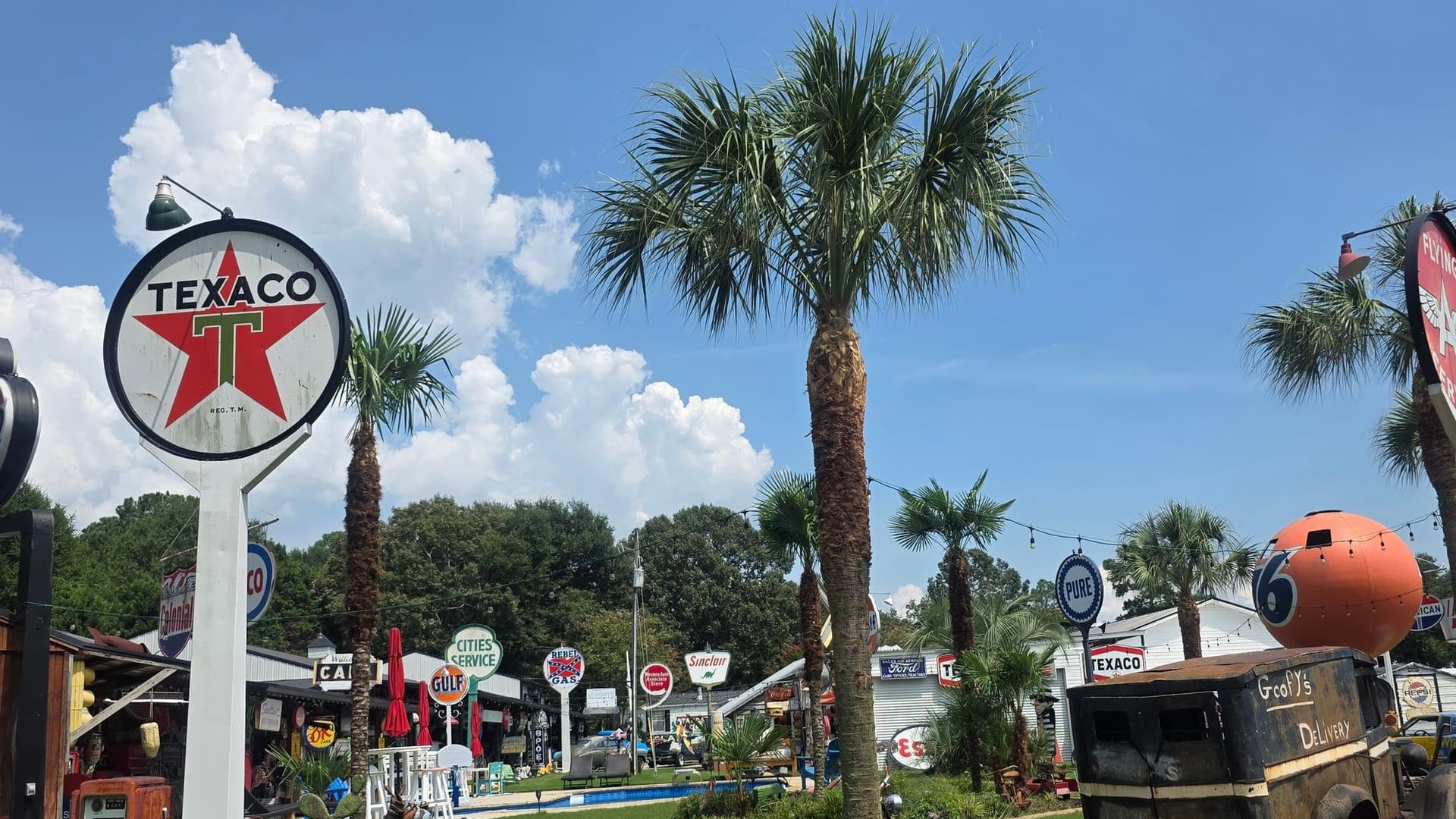 Whole commercial grounds mowed and edged around palm beds