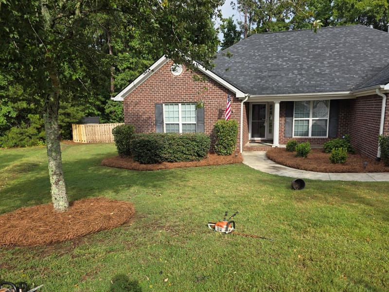 Fresh pine straw bed sweeping past trimmed hedges